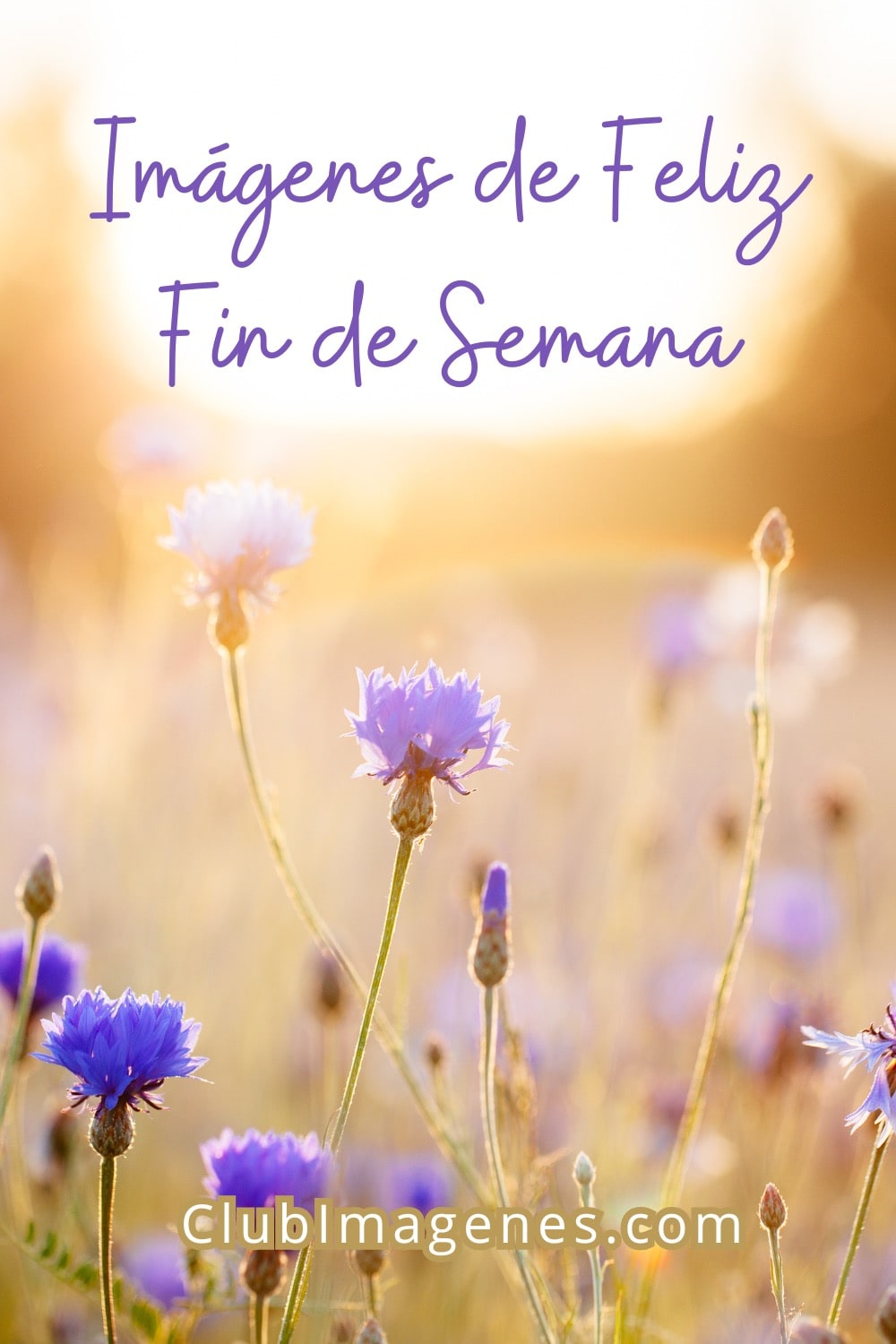 15 imágenes de fin de semana que motivan y alegran la vida - Club Imágenes