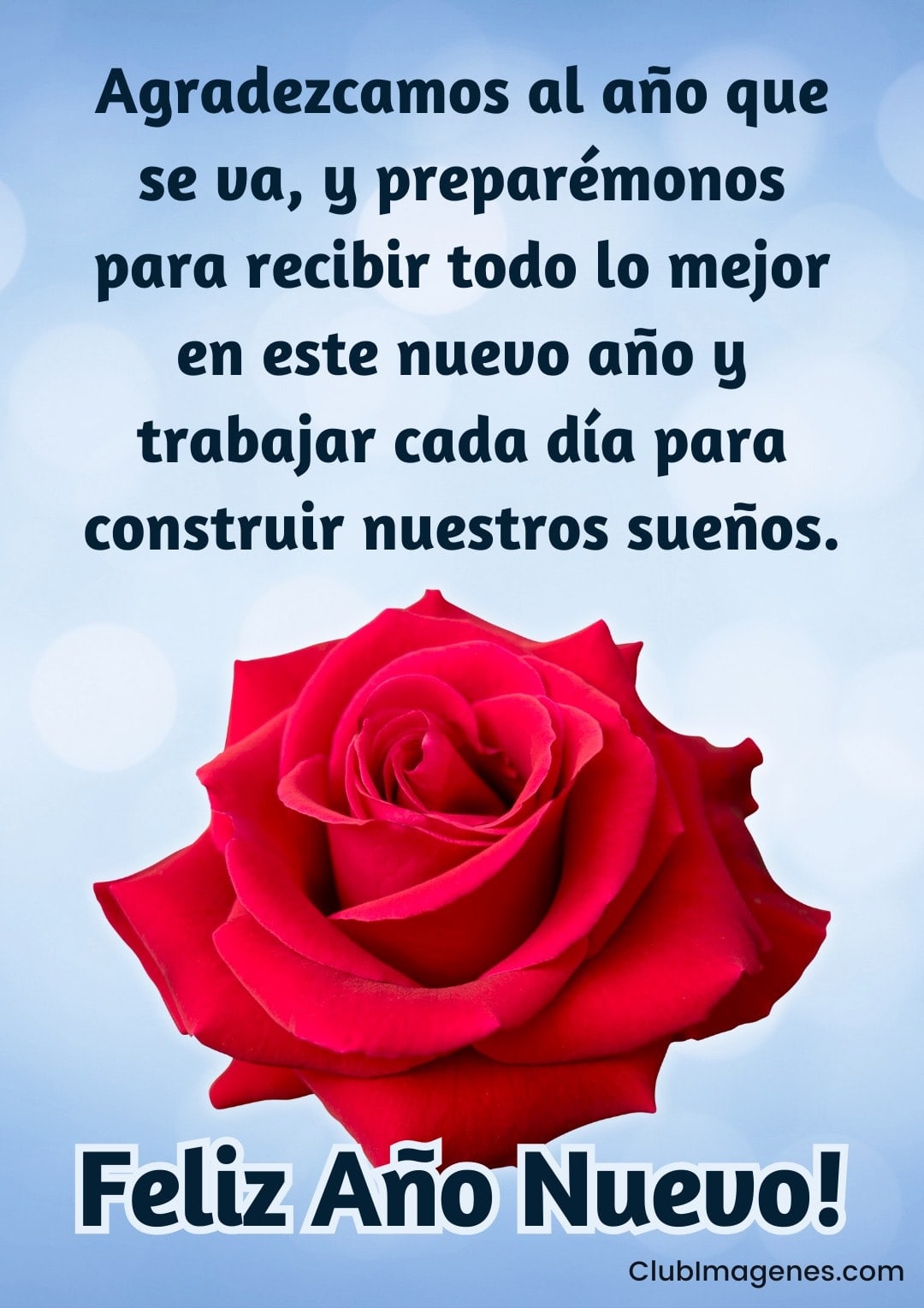 Rosa roja con mensaje de reflexión sobre gratitud y preparación para recibir lo mejor y construir sueños en el Año Nuevo