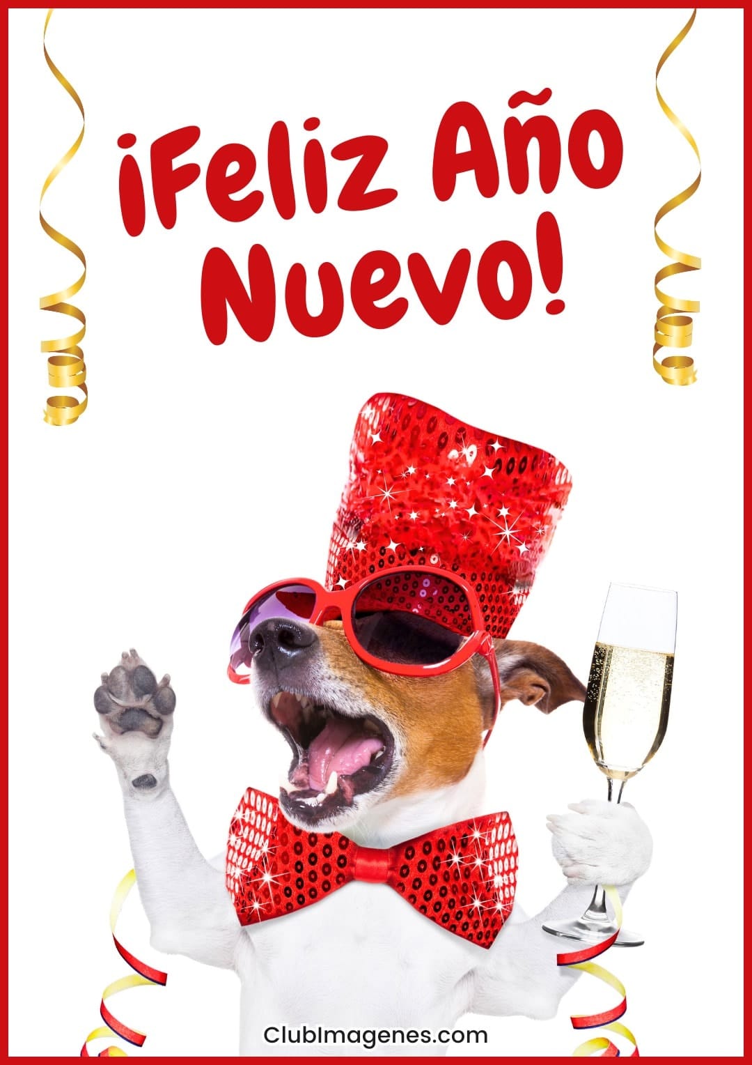 Perro alegre celebrando con sombrero brillante, gafas rojas y copa de champán