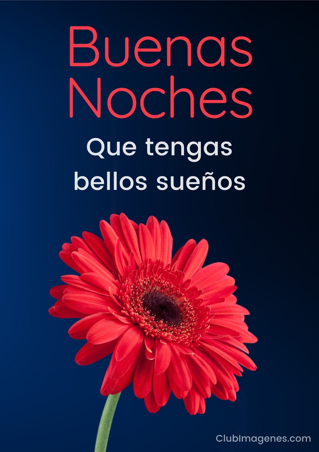 Que Tengas Una Buena Noche Imagenes BUENAS NOCHES Im genes Con