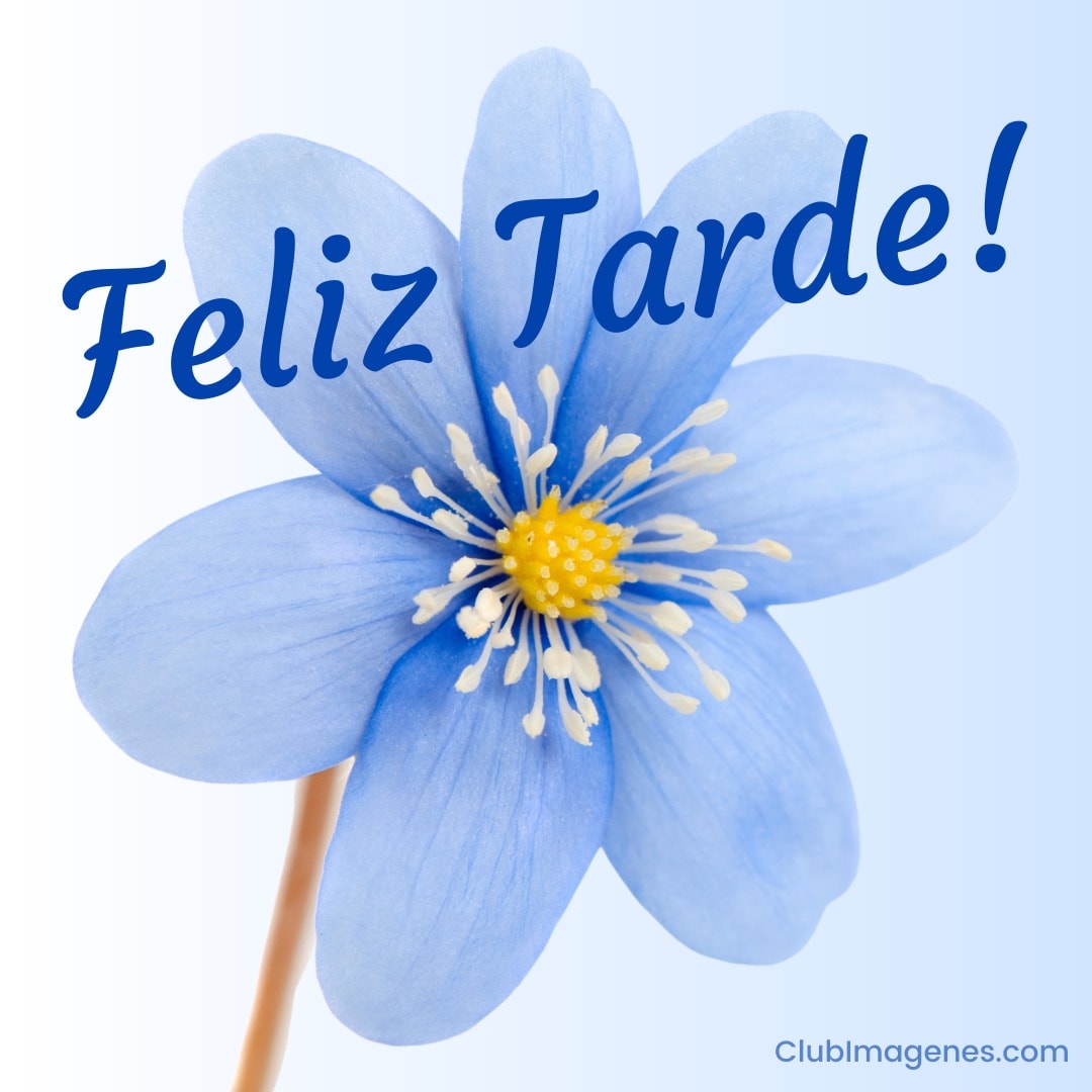 Flor azul con pétalos abiertos y texto 'Feliz Tarde' en tono distintivo, sobre fondo claro