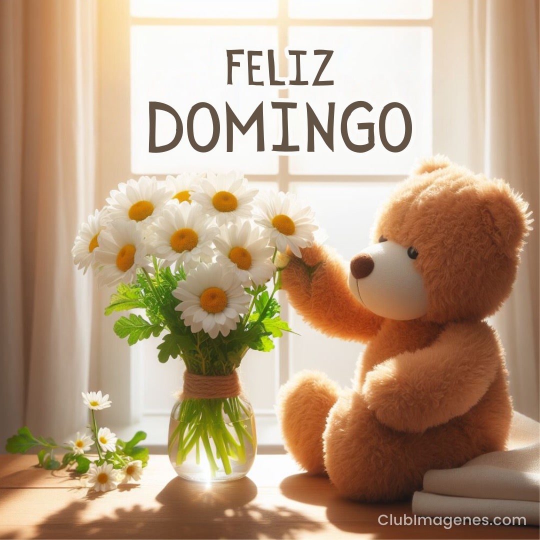 Un oso de peluche toca margaritas en un jarrón con luz solar y un mensaje de 'Feliz Domingo'