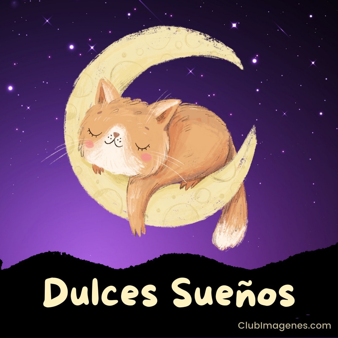 Un gato dormido en la luna bajo un cielo estrellado con las palabras 'Dulces Sueños'