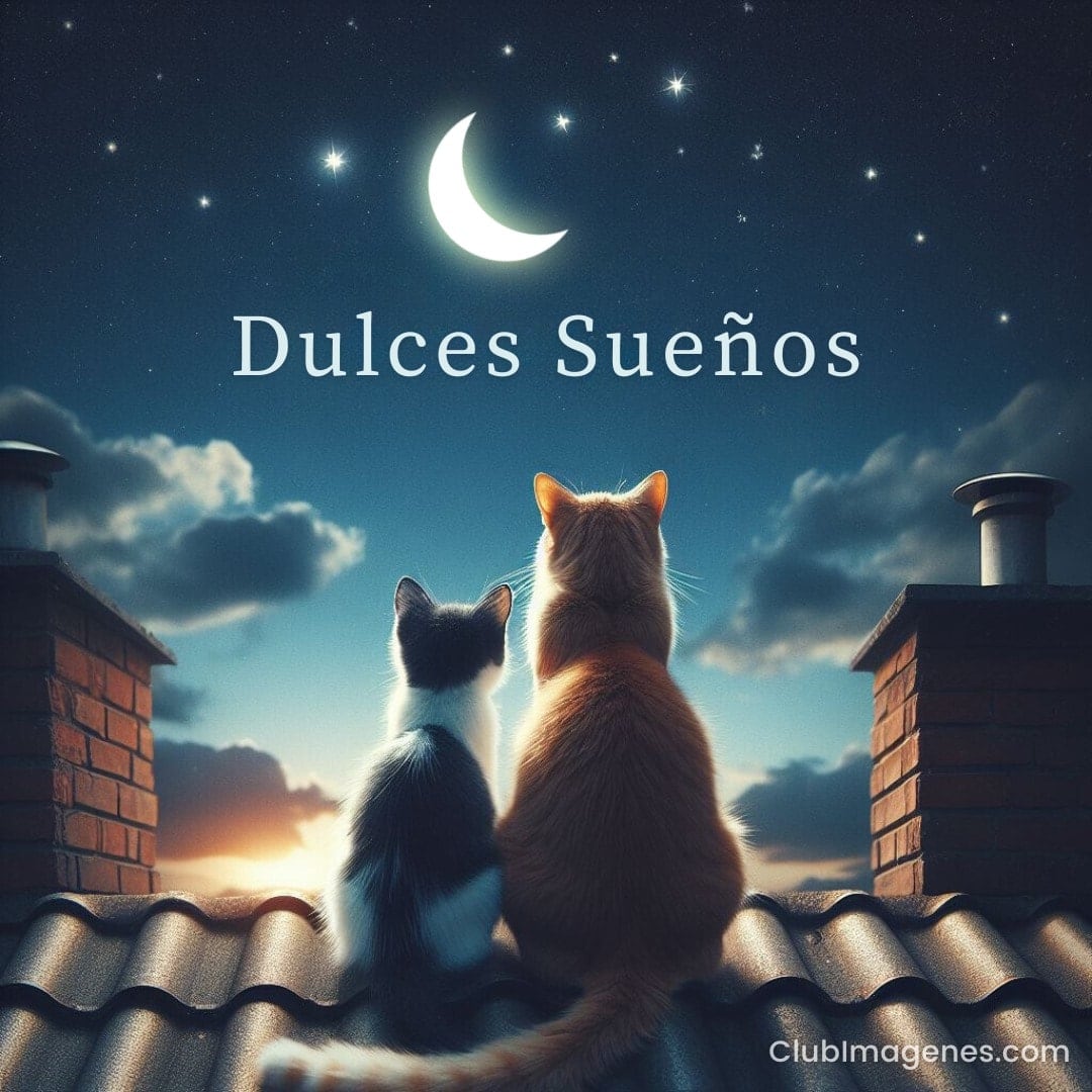 Dos gatos en un tejado mirando la luna y estrellas. Texto arriba dice 'Dulces Sueños'