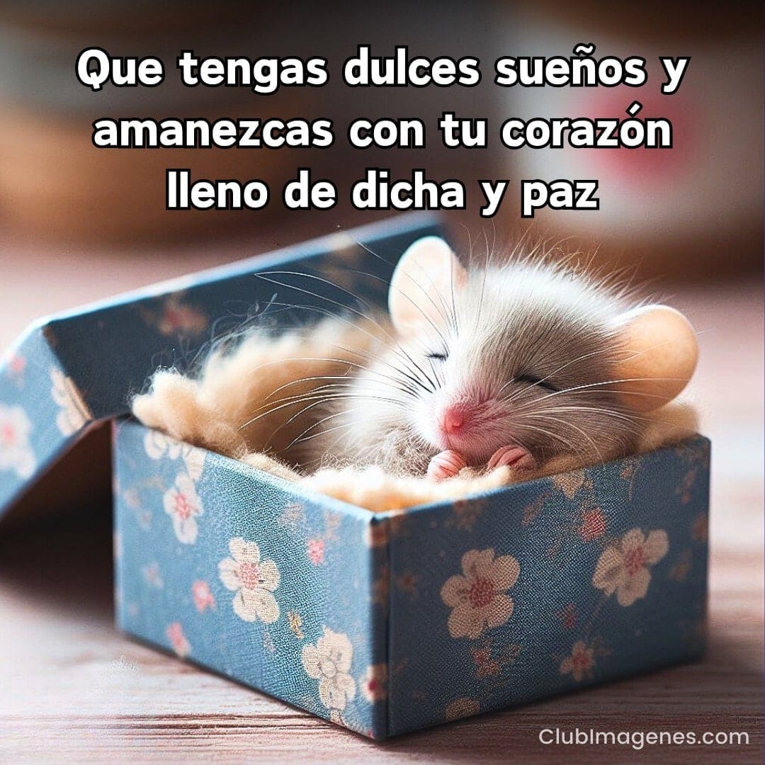 Un ratón duerme placenteramente en una caja con estampado floral, mensaje deseando dulces sueños