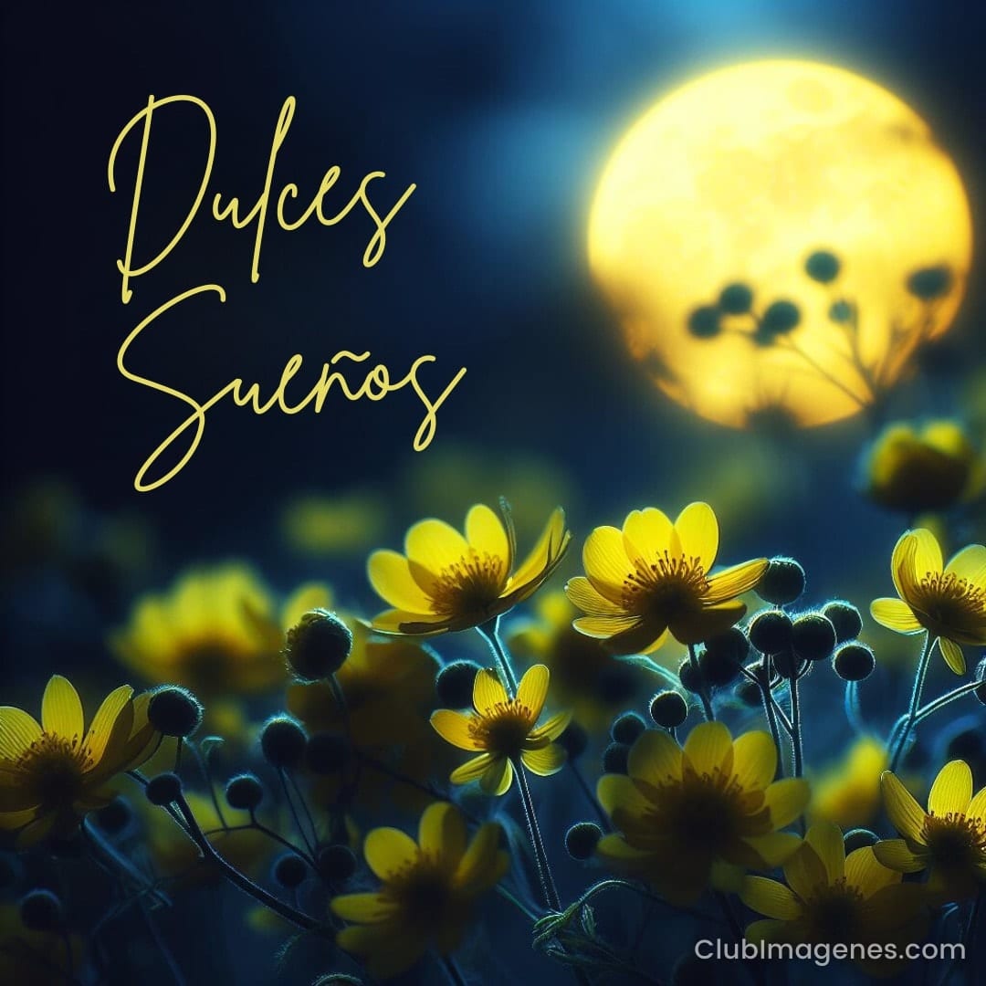 Flores amarillas destacan bajo una luna brillante con las palabras 'Dulces Sueños'