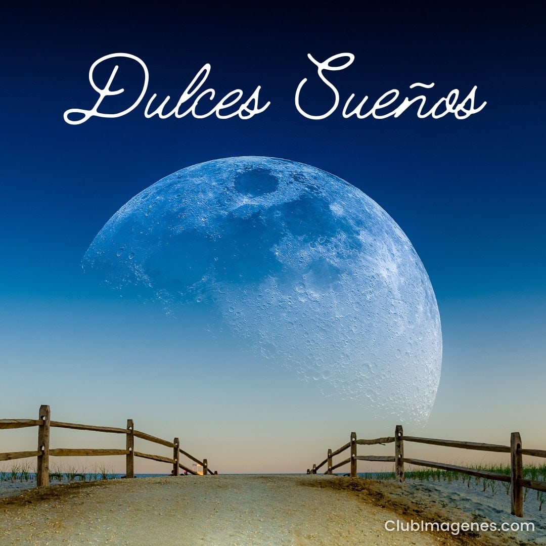 Noche serena con una luna grande y azul sobre un sendero de tierra y cercas de madera