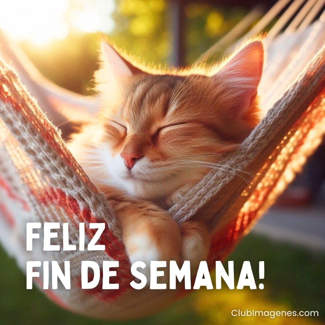 Un gato durmiendo en una hamaca con un texto que dice 'Feliz Fin de Semana!'