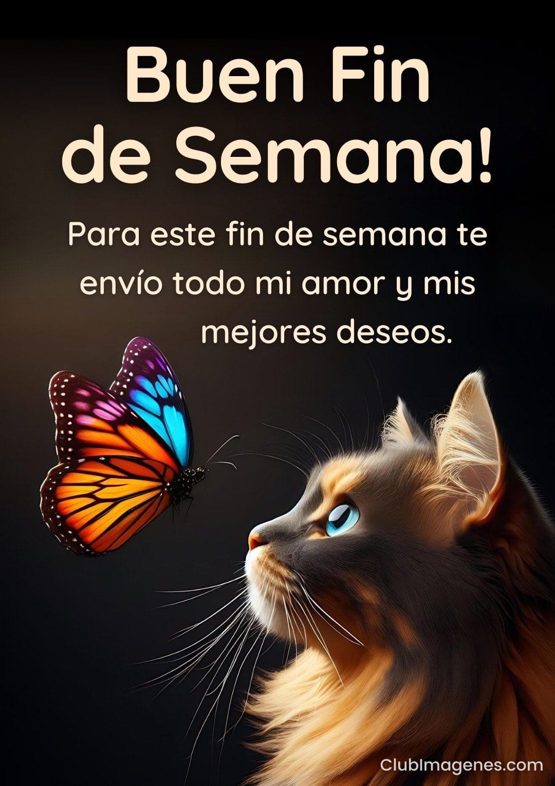 Un gato observa una mariposa con un mensaje deseando un buen fin de semana y amor
