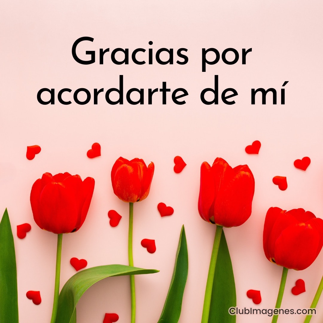 Tres tulipanes rojos y corazones pequeños sobre fondo rosa con texto 'Gracias por acordarte de mí'