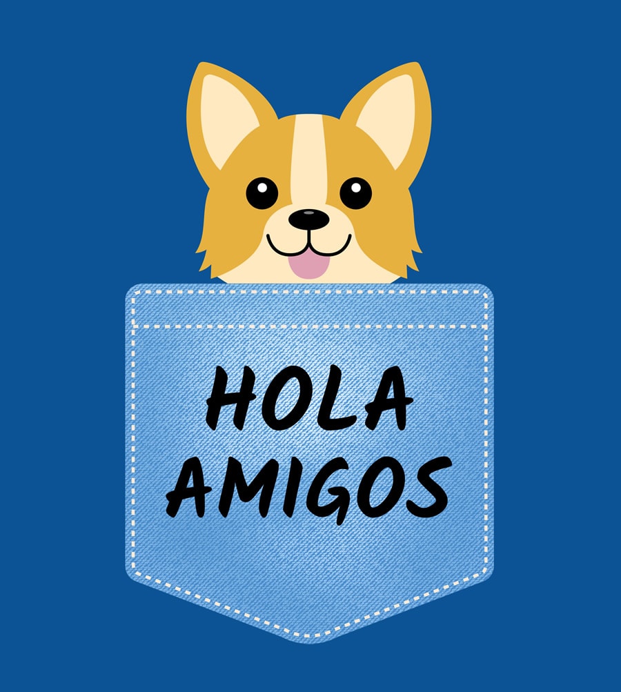 ilustración de un lindo perro asomándose por el bolsillo de los jeans, con texto: hola amigos