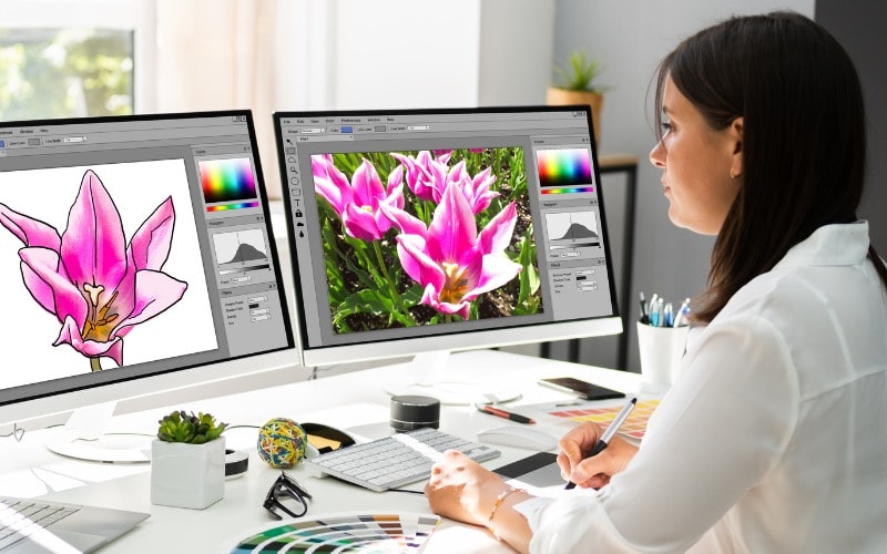 Mujer editando imágenes en dos pantallas: un dibujo digital de un tulipán rosa y una foto de tulipanes en un jardín.