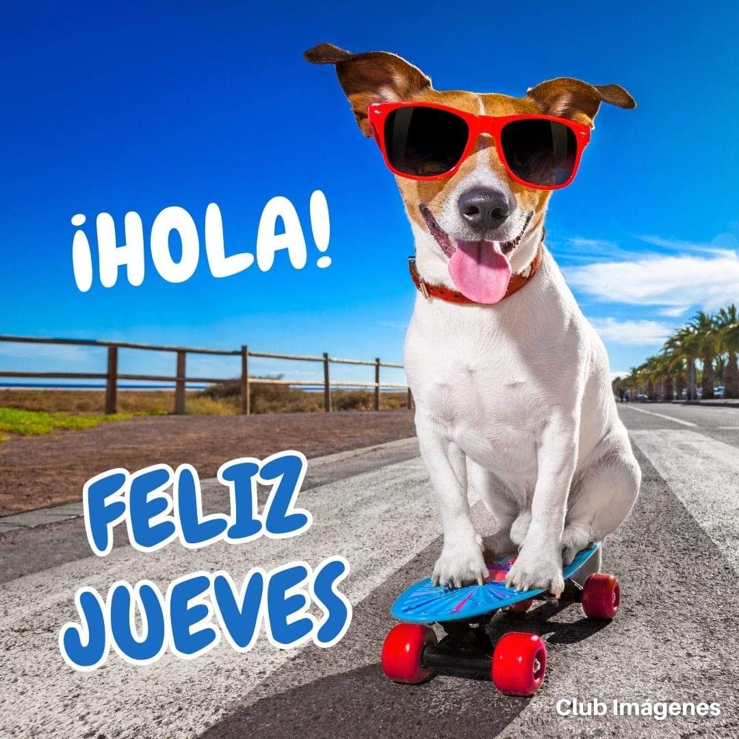 perro con gafas de sol en patineta, con texto: hola, feliz jueves