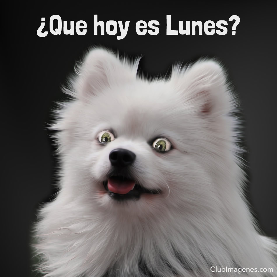 ¿Que hoy es Lunes?
