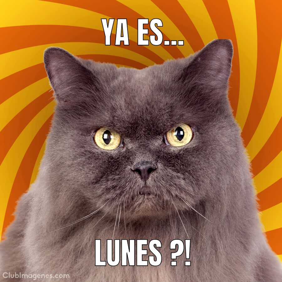 Ya Es... Lunes ?!