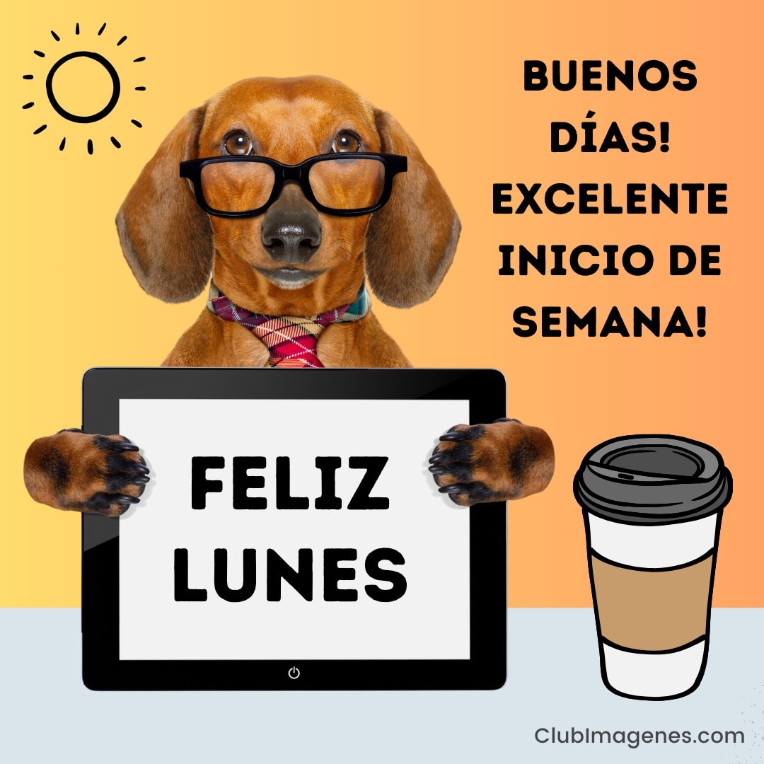 perro con gafas sostiene un cartel que dice: feliz lunes