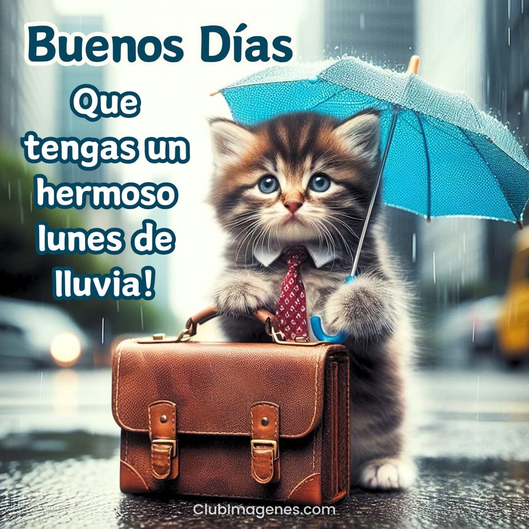 Un gatito con maletín y paraguas bajo la lluvia. Mensaje desea buen lunes lluvioso