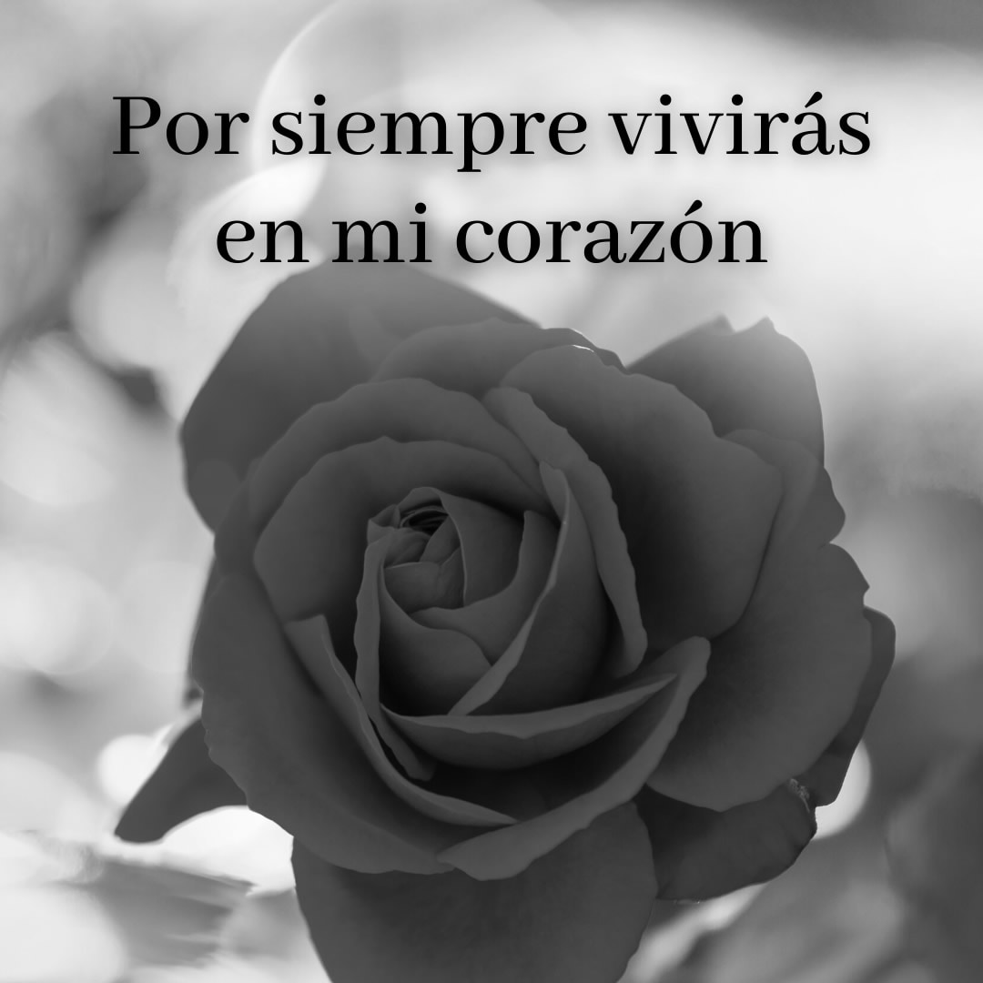 foto en blanco y negro de rosa, con texto: por siempre vivirás en mi corazón