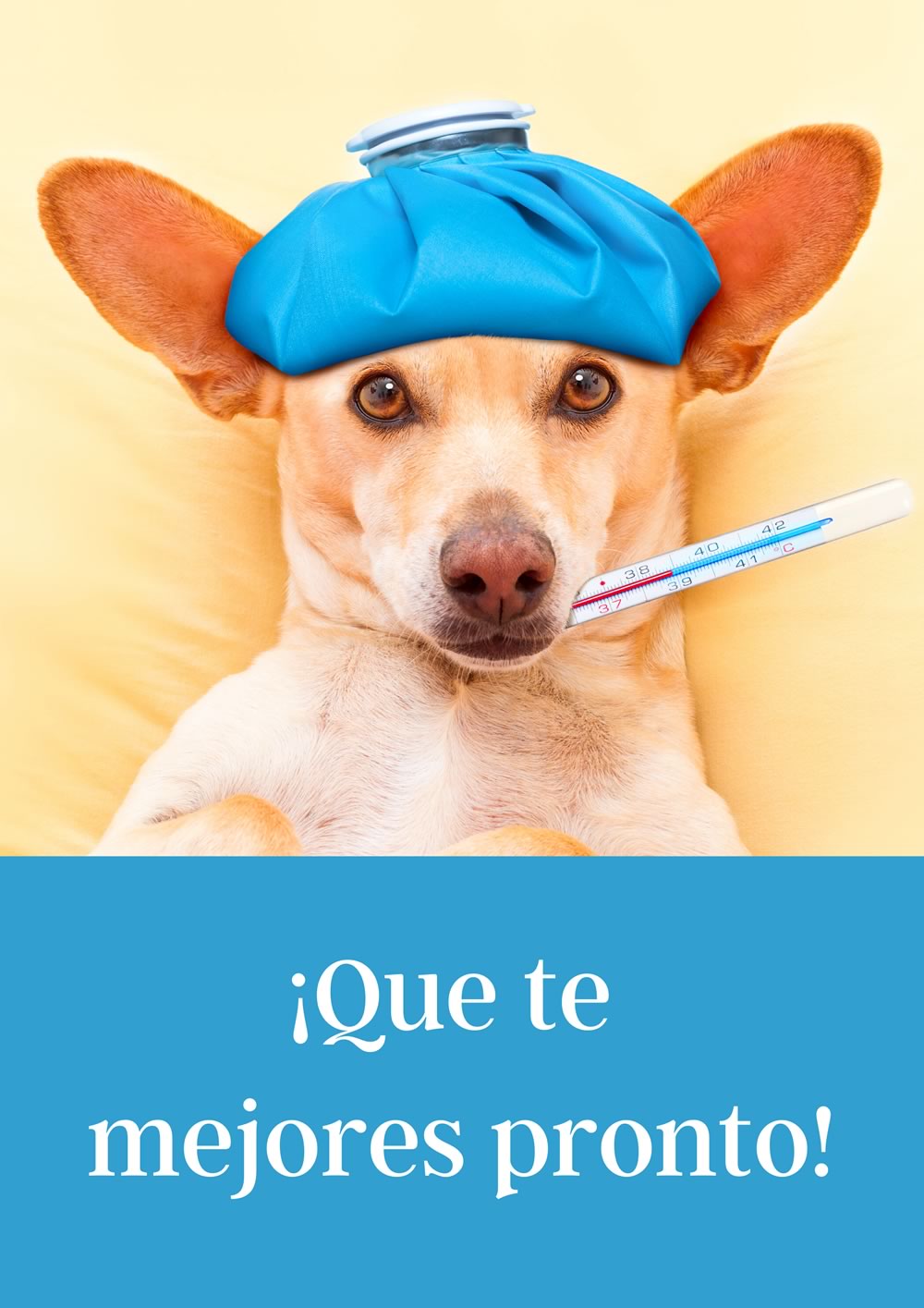 ¡Que te mejores pronto!
