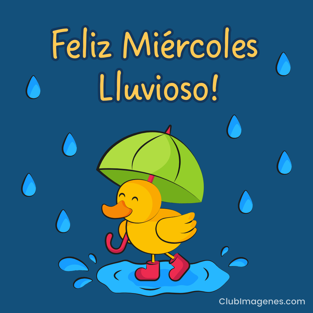 Pato alegre con paraguas verde y botas rojas salta en un charco, bajo gotas de lluvia. Texto: Feliz Miércoles Lluvioso!