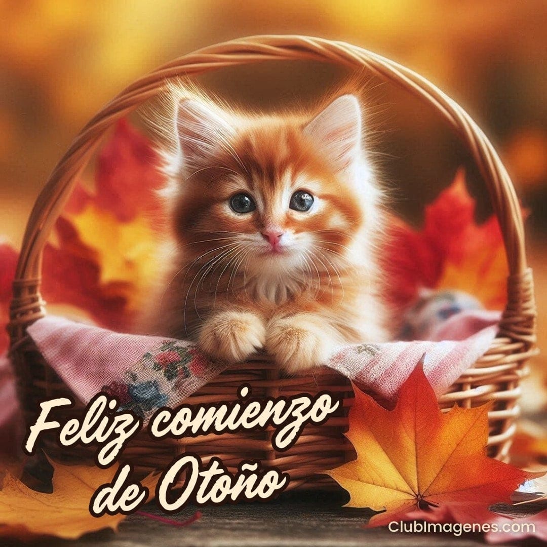 Un gatito pelirrojo en una canasta rodeado de hojas otoñales y un mensaje de bienvenida al otoño