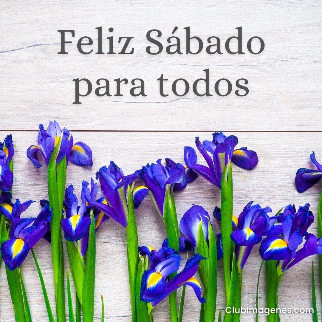 flores azules con las palabras: feliz sábado para todos