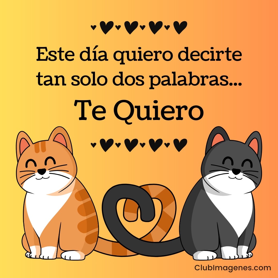 Dos gatos sonrientes, uno naranja y otro gris, junto al texto: Este día quiero decirte tan solo dos palabras... Te Quiero