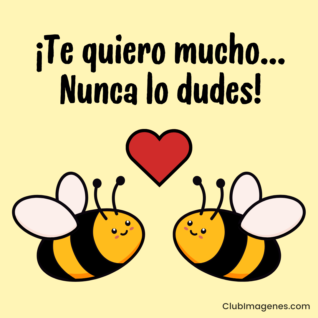 Dos abejas sonrientes con un corazón rojo y el texto '¡Te quiero mucho... Nunca lo dudes!' en fondo amarillo