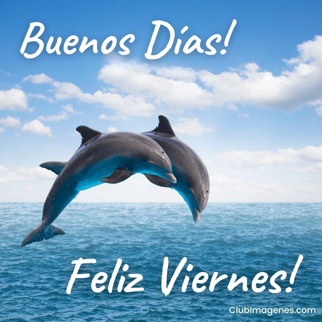 Dos delfines saltando del mar con un saludo de 'Buenos Días' y 'Feliz Viernes'