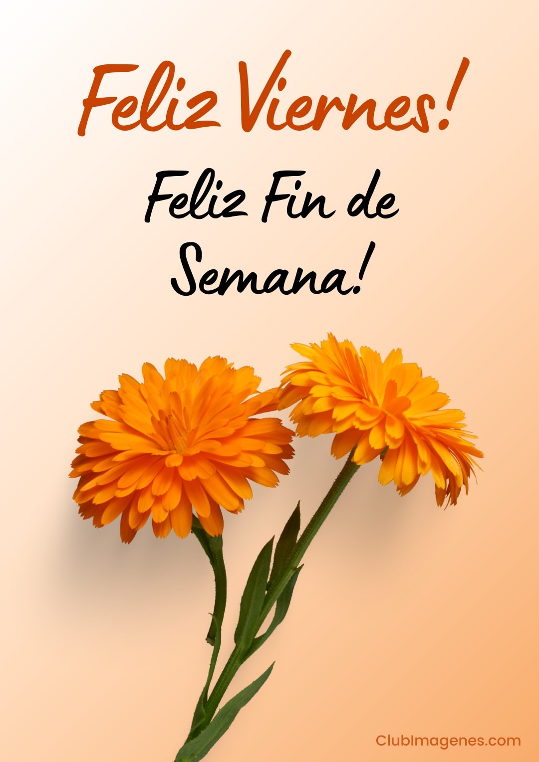 Flores naranjas con un mensaje que desea un feliz viernes y fin de semana