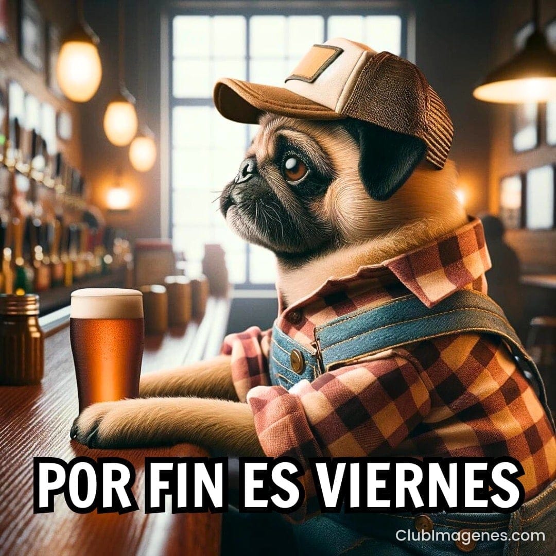 Un pug con gorra y camisa a cuadros en un bar, junto a una cerveza, con el texto 'Por Fin Es Viernes'